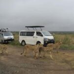 Nairobi National Park Guided Half Day Game Drive. - FAQs