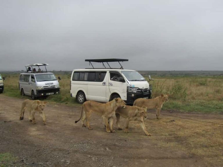 Nairobi National Park Guided Half Day Game Drive. - FAQs
