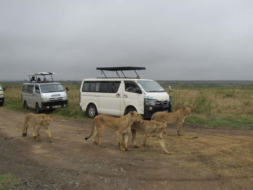 Nairobi National Park Guided Half Day Game Drive. - FAQs