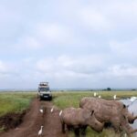 Nairobi National Park: Half-Day Group Tour with Pickup - The Itinerary: What to Expect