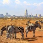 Nairobi National Park: Half Day Group Tour With Pickup - Practical Tips for Your Safari