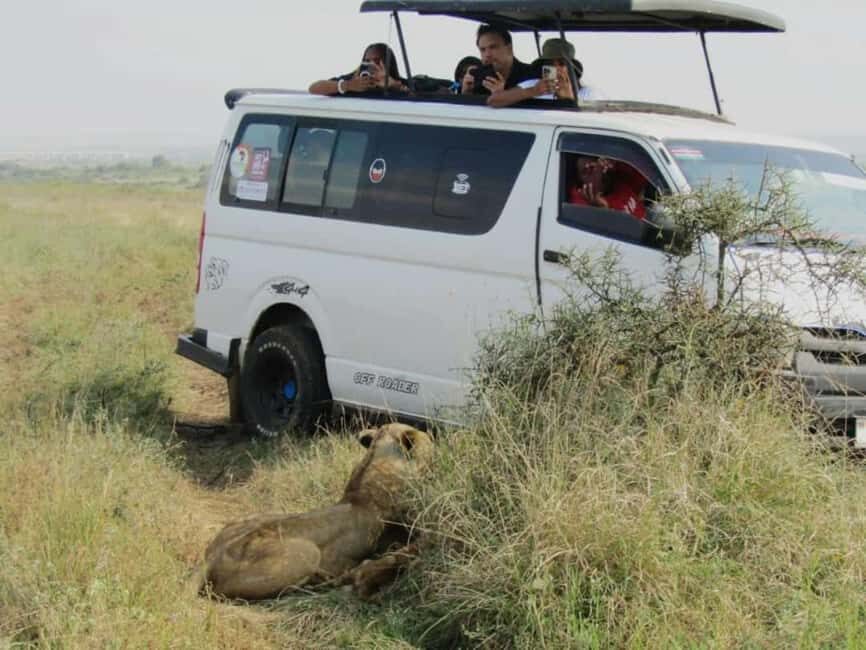 Nairobi National Park Half-Day Guided Game Drive With Pickup - What to Expect from the Game Drive