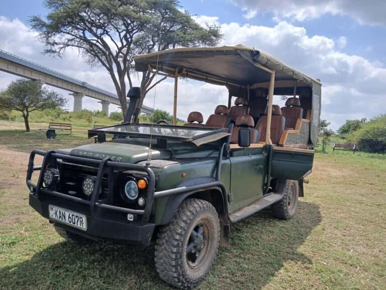 Nairobi National Park Half Day Tour - Optional Extensions