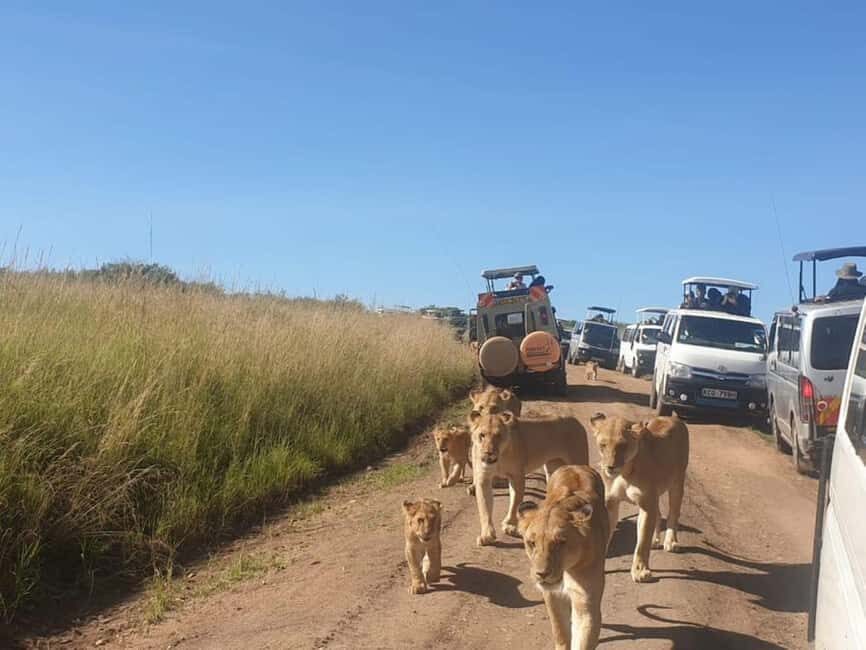 Nairobi National Park Morning Game Drive With Free Pickup - Final Thoughts
