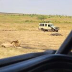 Nairobi National Park Private Half Day Tour with Pick up - In-Depth Breakdown of the Experience