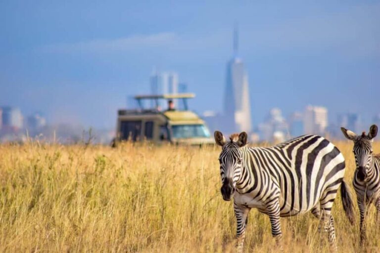 Nairobi National Park Sunrise or Sunset Game Drive Options - Why This Tour Is Worth It