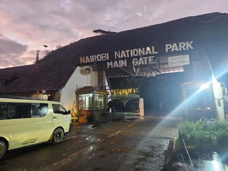 Nairobi National Park,Giraffe Center,Orpanage&Karen Blixxen - Who Will Love This Tour?