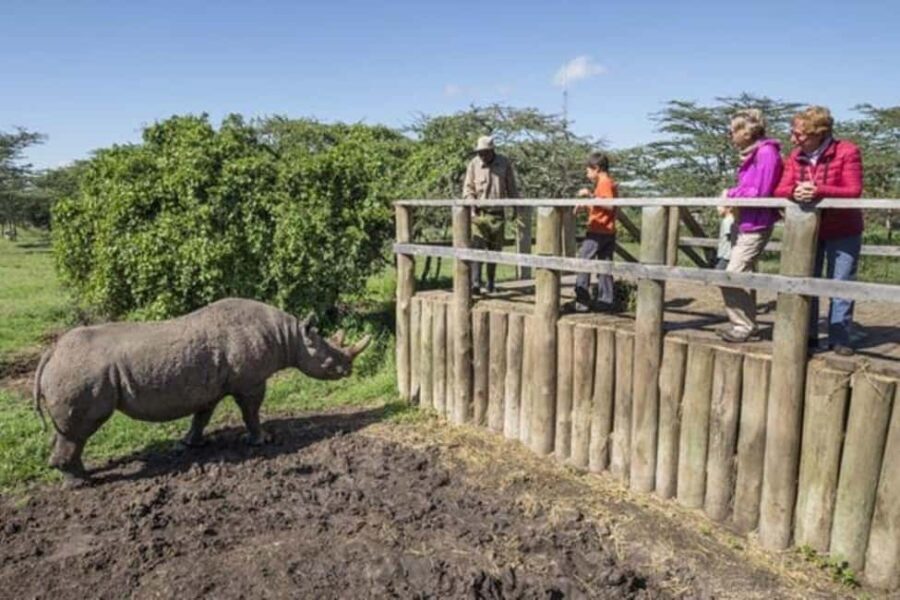 Nairobi: Ol Pejeta Day Tour from Nairobi - What Travelers Say