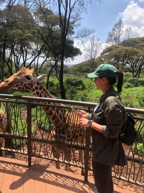 Nairobi Park, Elephant Sanctuary, & Giraffe Center Tour - Practical Details & Tips for the Tour