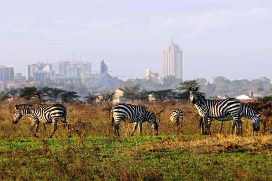 Nairobi Park, Optional Giraffe Centre & Sheldrick Orphanage - Optional Visits: Sheldrick Elephant Orphanage