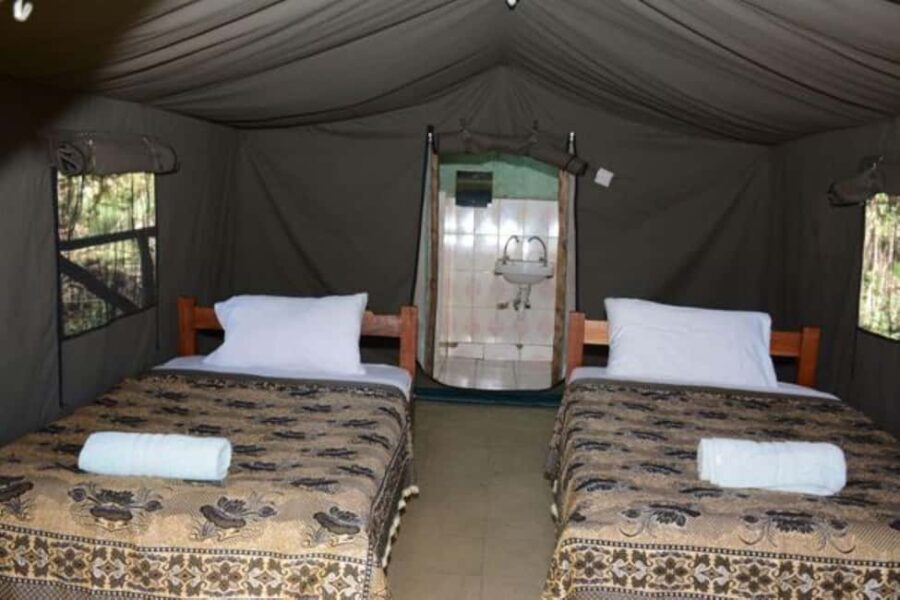 Nairobi: Private 5 Days Maasai Mara, Nakuru & Naivasha Tour - Who Is This Tour Best For?