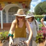 Nairobi: Purple Tea Farm Gatura Greens Day Trip - What We Love About This Tour