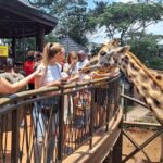 Nairobi: Safari Walk and Giraffe Center Day Tour - What Reviewers Say