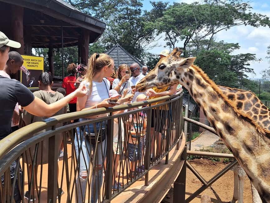Nairobi: Safari Walk and Giraffe Center Day Tour - What Reviewers Say