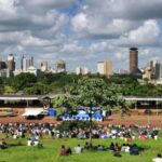 Nairobi Street Art and Graffiti Tour - In-Depth Review of the Nairobi Street Art and Graffiti Tour