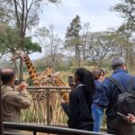 Nairobi:David Sheldrick Elephant Orphanage & Giraffe Center - What to Expect on the Tour