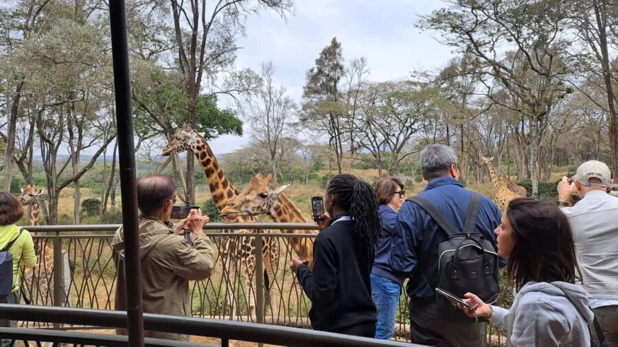 Nairobi:David Sheldrick Elephant Orphanage & Giraffe Center - What to Expect on the Tour