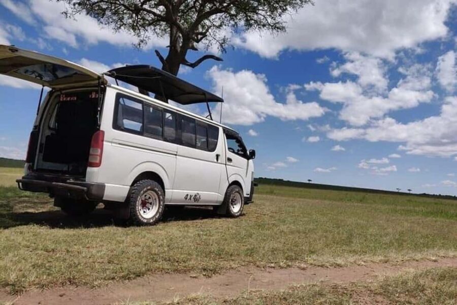 Nairobi:Group Joining Overnight Safari to Amboseli Park - Day Two: Morning Game Drive and Return to Nairobi