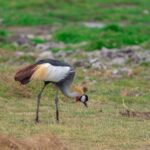 Naivasha: Lake Naivasha & Hells Gate National Park - What’s Included and What’s Not