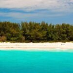 Nakupenda beach tour full day with delicious lunch - The Sandbank Experience