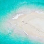 NAKUPENDA SANDBANK BEACH AND SNORKELING - What Makes This Tour Stand Out?