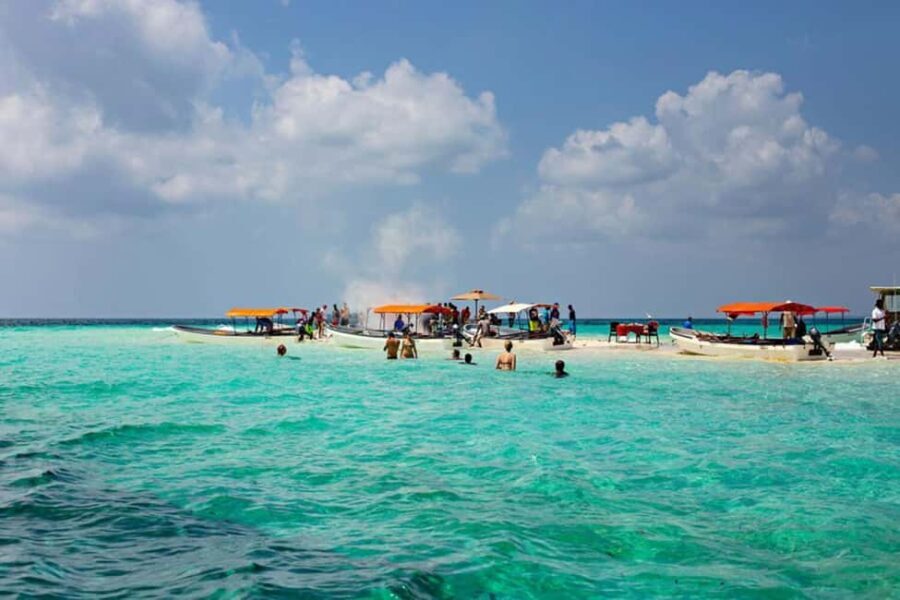Nakupenda Sandbank Tour - Practical Details and What to Expect