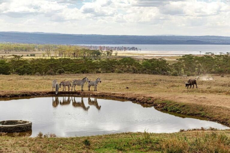nakuru:private guided tour - What to Expect and Practical Tips