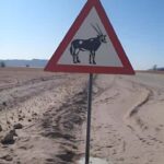Namib Naukluft Park Trip - FAQ