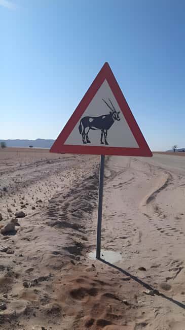 Namib Naukluft Park Trip - FAQ