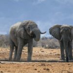 Namibia: 10-Days - What Makes This Tour Stand Out