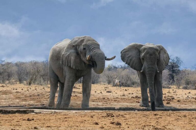 Namibia: 10-Days - What Makes This Tour Stand Out