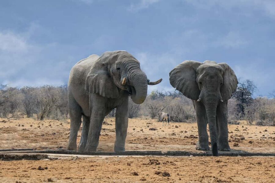 Namibia: 10-Days - What Makes This Tour Stand Out