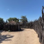 Namibia: Guided Immersive Safaris and Culture - Practical Details & Considerations
