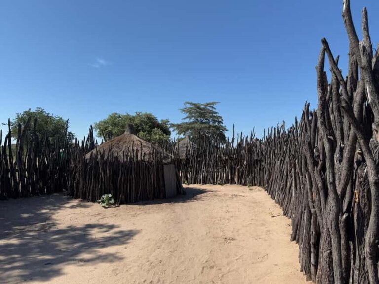 Namibia: Guided Immersive Safaris and Culture - Practical Details & Considerations