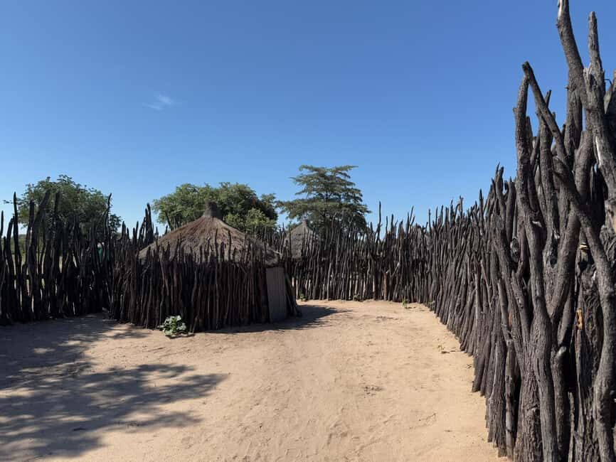 Namibia: Guided Immersive Safaris and Culture - Practical Details & Considerations