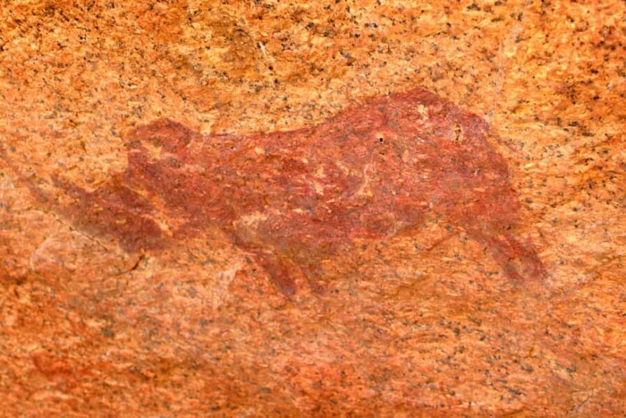 Namibia: Spitzkoppe Full Day Tour - What You Can Expect from the Tour