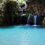 Nanyuki : Ngare Ndare Day Trip - The Experience from a Traveler’s Perspective
