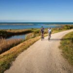 Napier: Cape Coast Winery Tour on Pedal or E-Bikes - The Experience Through Reviewers Eyes