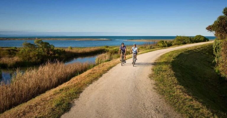 Napier: Cape Coast Winery Tour on Pedal or E-Bikes - The Experience Through Reviewers Eyes