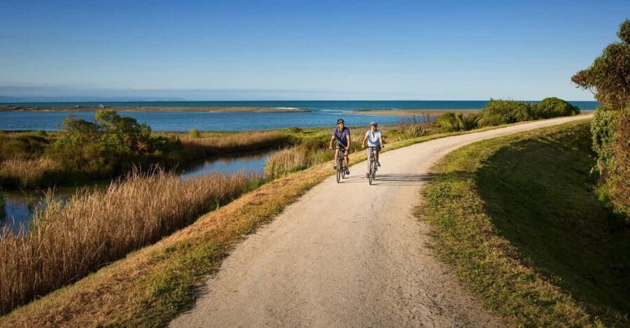 Napier: Cape Coast Winery Tour on Pedal or E-Bikes - The Experience Through Reviewers Eyes