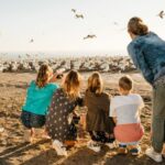 Napier: Cape Kidnappers Gannet, Nature & Sightseeing Tour - What to Expect from the Tour