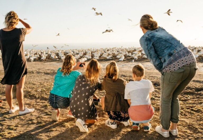 Napier: Cape Kidnappers Gannet, Nature & Sightseeing Tour - What to Expect from the Tour