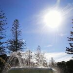 Napier Cruise Excursion Art Deco Tour and Wine Tasting - Who Is This Tour Best For?