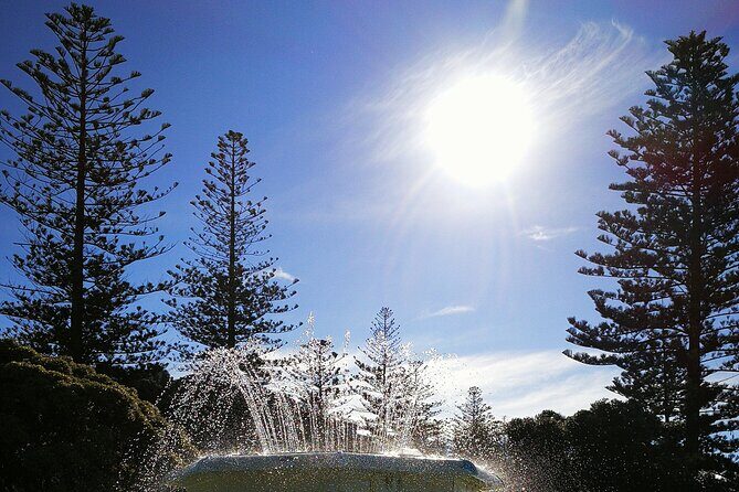 Napier Cruise Excursion Art Deco Tour and Wine Tasting - Who Is This Tour Best For?