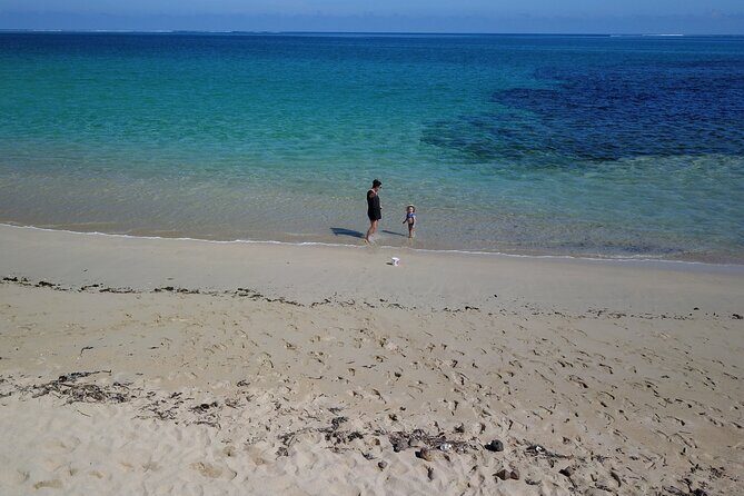 Natadola Beach Half Day Private Excursion from Nadi/Denarau - Why Travelers Love This Tour
