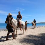 Natadola Beach Tour With Tifajek Mud Pool & Hotspring - Optional Activities at the Beach