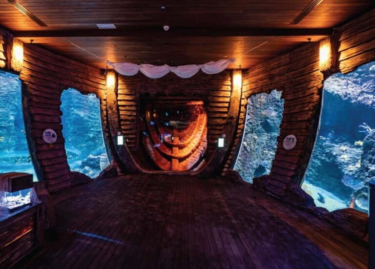 National Aquarium & Adrenark Adventure Combo Ticket - What to Expect at Adrenark Adventure