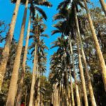 Nature Thrills - Authentic Experiences and Personal Touches
