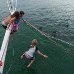 Nelson Bay: Dolphin Watch Cruise and Sail - The Itinerary in Detail