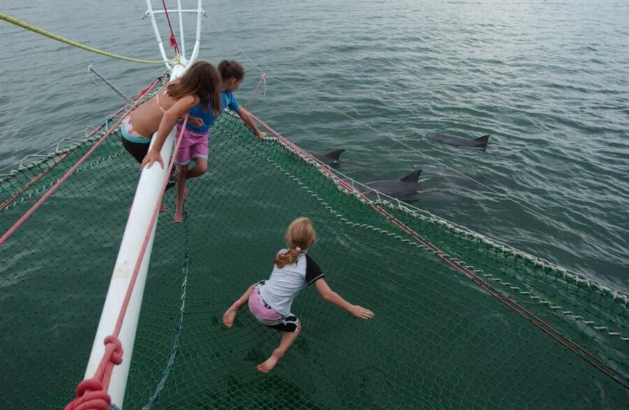 Nelson Bay: Dolphin Watch Cruise and Sail - The Itinerary in Detail